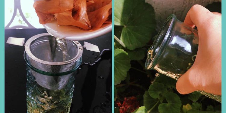 Cum se face decoctul de ceapă pentru utilizarea lui în grădina de legume
