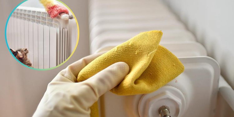 Cum să vă curățați caloriferele eficient si rapid