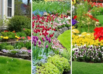 amenajare gradini mici cu flori