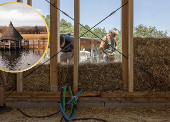 Case din stuf: avantaje și dezavantaje ale acestor case din paie